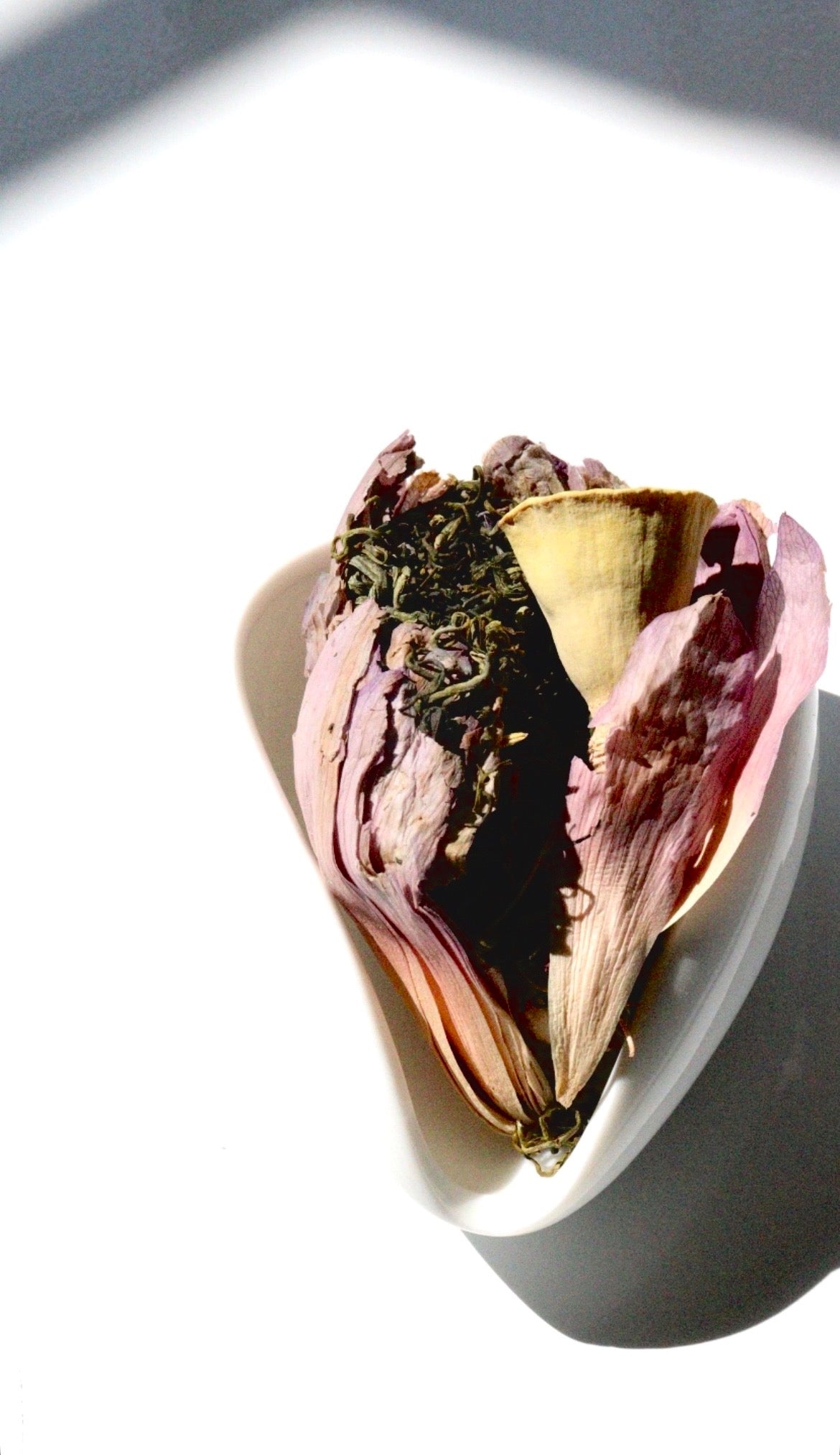 Ceremonia Taiwanesa de Té