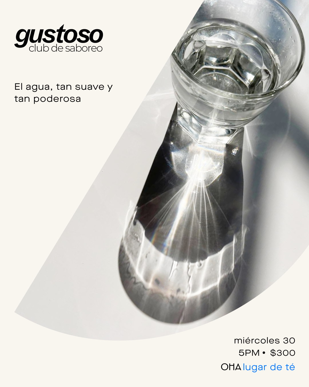 Gustoso - club de saboreo
