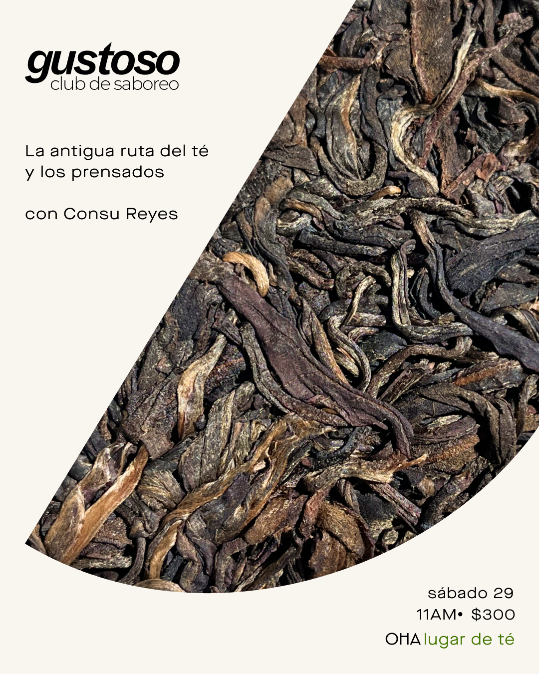 Gustoso - club de saboreo